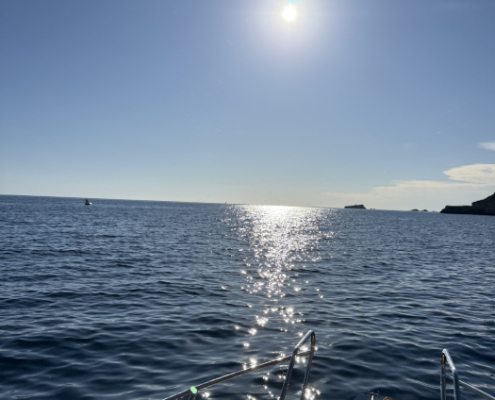 Sail & Protect - Alquiler de barco en Mallorca