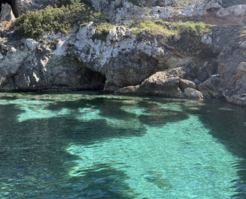 Sail & Protect - Alquiler de barco en Mallorca
